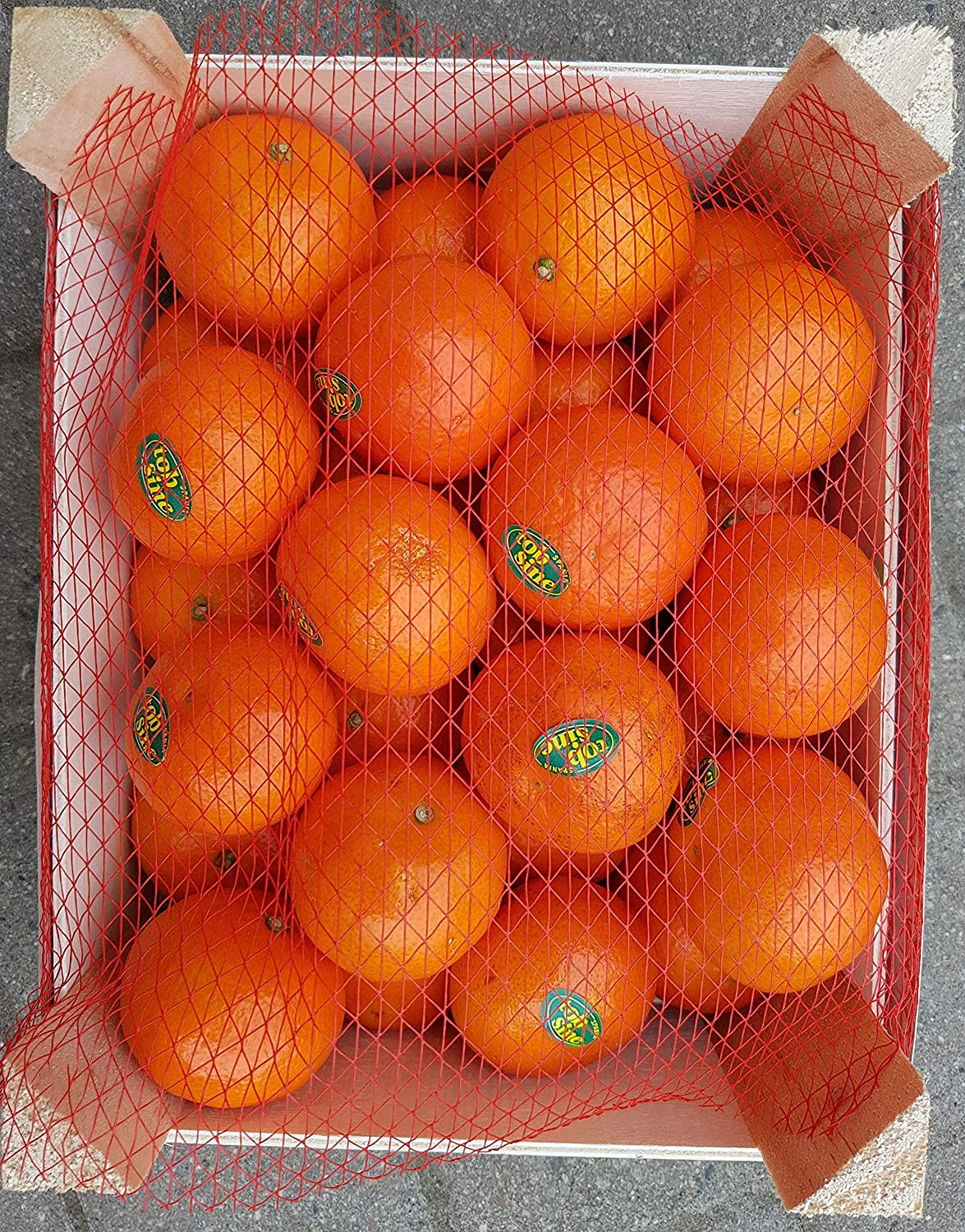 frische Tobsine Premium Clementinen, süß, saftig und sehr aromatisch. 2 kg