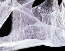 Spinnennetz mit Spinne Spinnennetz Spinnweben 20 Gramm
