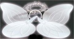 Engelchen-Set mit Engelsflügel aus Federn